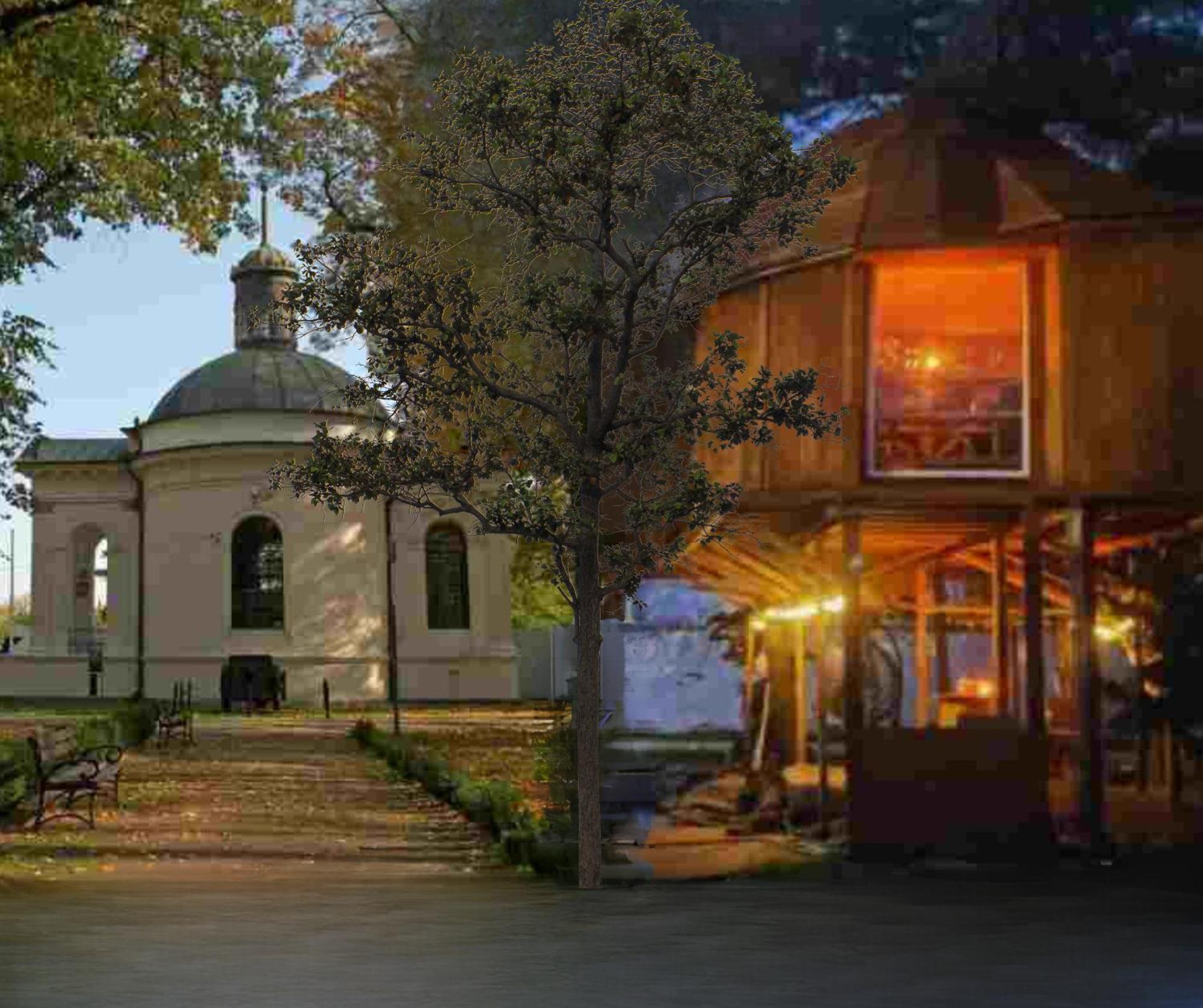Nocleg W Koronach Drzew Kutno Εξωτερικό φωτογραφία
